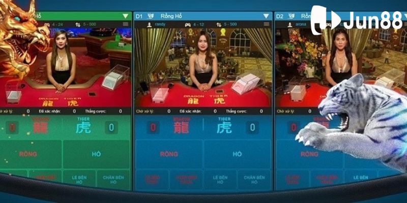 Quy định khi chơi rồng hổ là gì? Quy định khi chơi rồng hổ là gì?